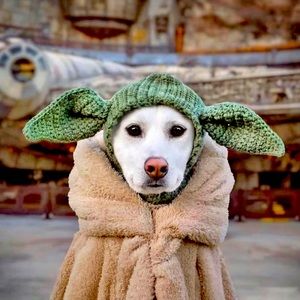 Meet your Posher, Deb